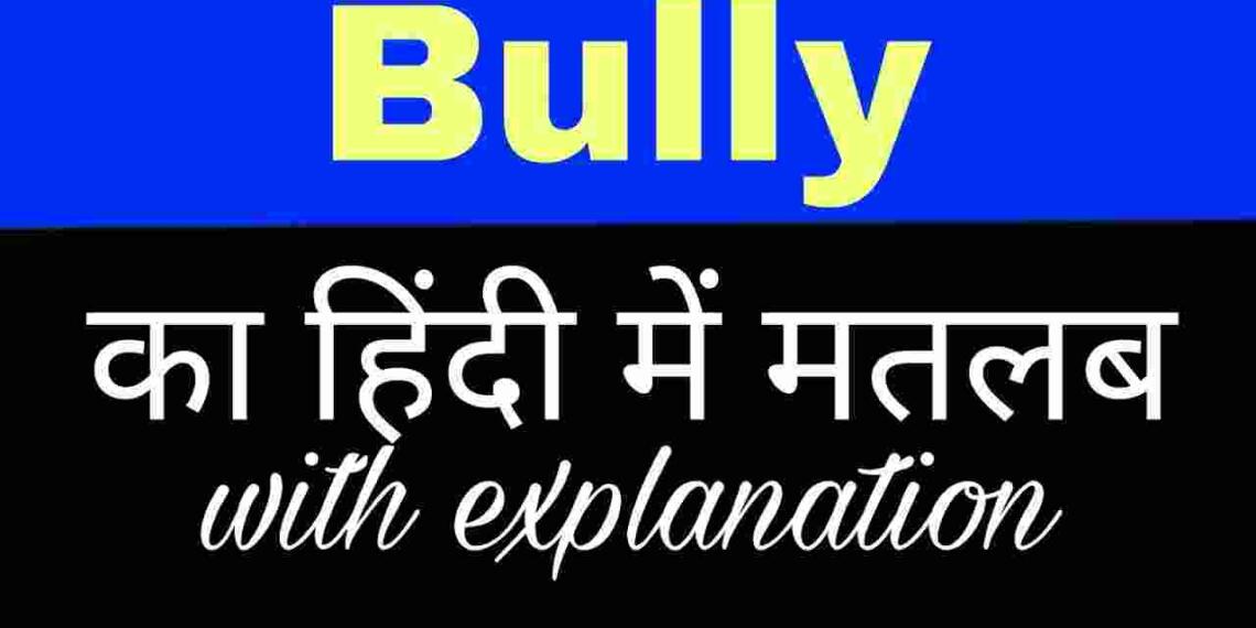 bully-meaning-in-hindi-and-6-examples-tfipost-in