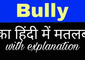  Bully meaning in hindi