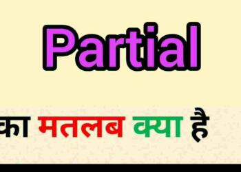 Partial meaning in hindi