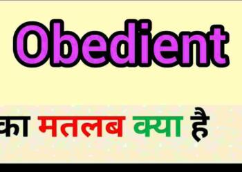 Obedient meaning in hindi