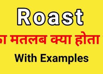 Roast meaning in hindi