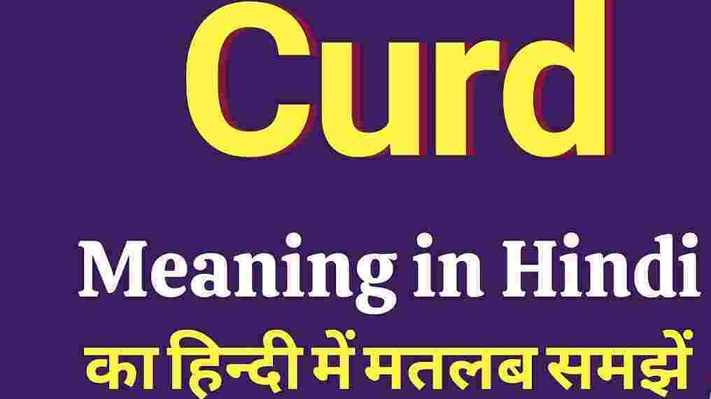 Curd meaning in hindi