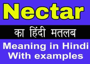 Nectar meaning in hindi