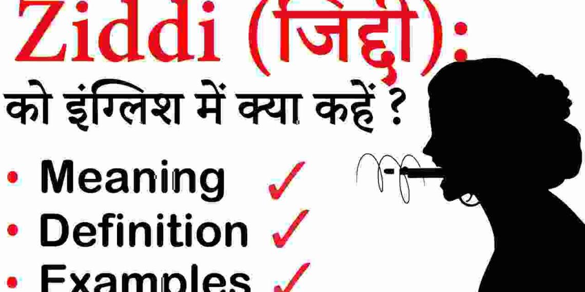 Ziddi in hindi