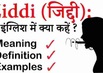 Ziddi in hindi