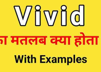 Vivid meaning in hindi