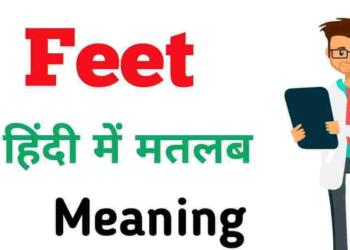 Feet meaning in hindi