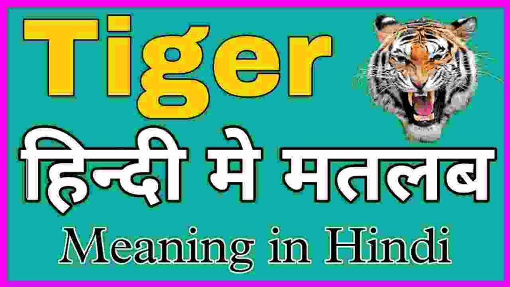 Tiger meaning in hindi