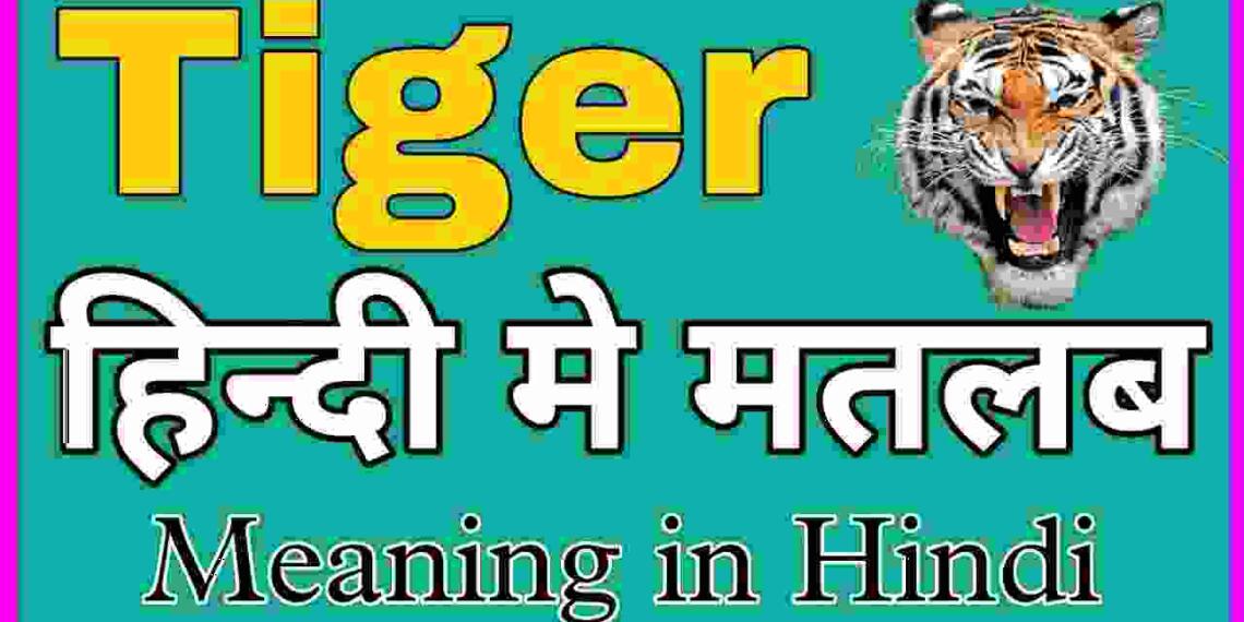 Tiger meaning in hindi
