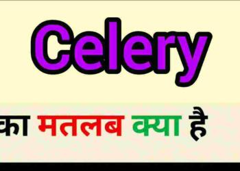 Celery meaning in hindi