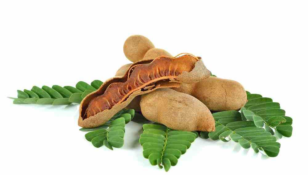 Tamarind meaning in hindi