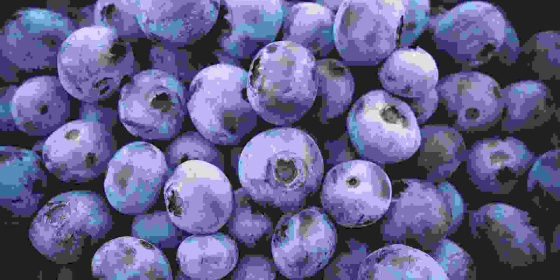 Blueberry in Hindi