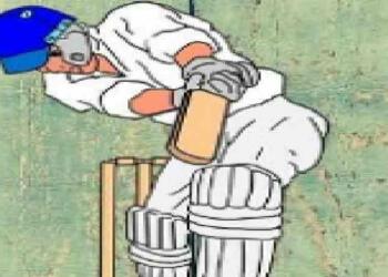 Cricket Information in Hindi