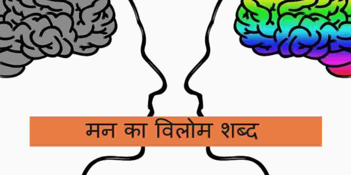 Man ka vilom shabd