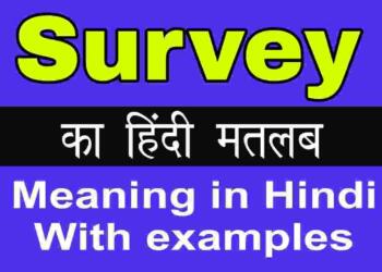 Survey meaning in hindi