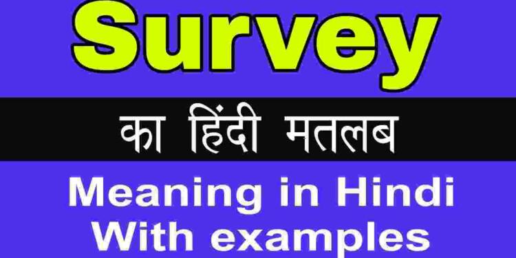 survey-meaning-in-hindi-synonym-and-6-examples-tfipost-in