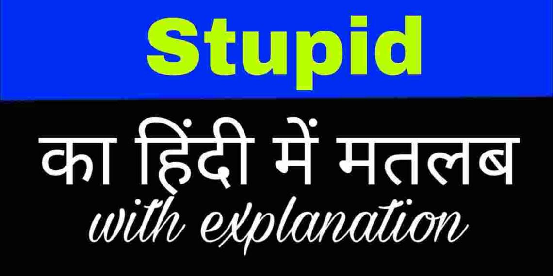 Stupid meaning in hindi