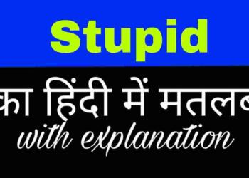 Stupid meaning in hindi