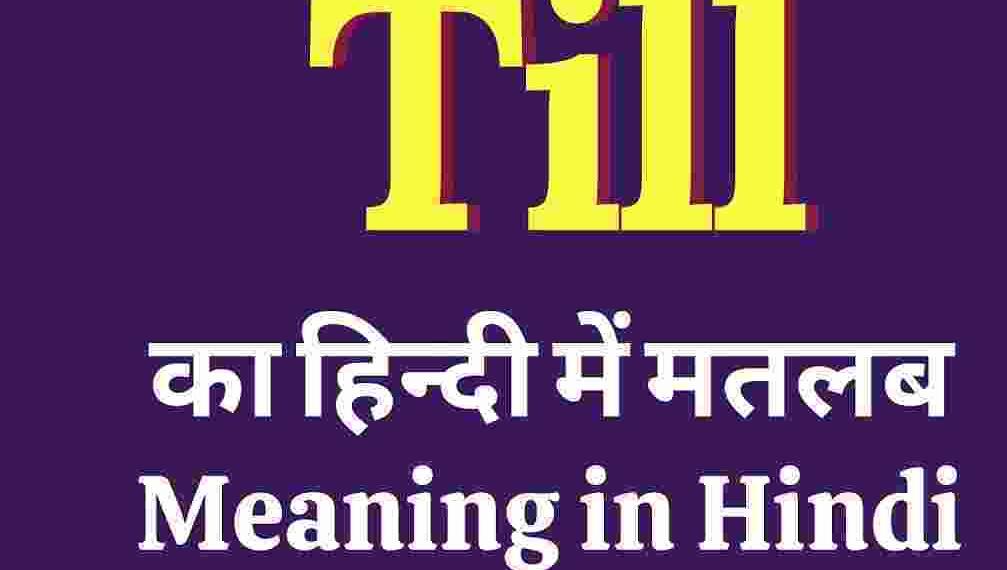 Til meaning in hindi