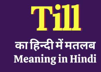 Til meaning in hindi
