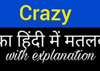 Crazy Meaning in Hindi
