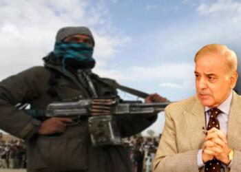 TTP ने पाकिस्तान में अपनी अलग सरकार का ऐलान कर दिया है