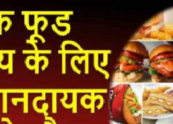 Junk Food in Hindi