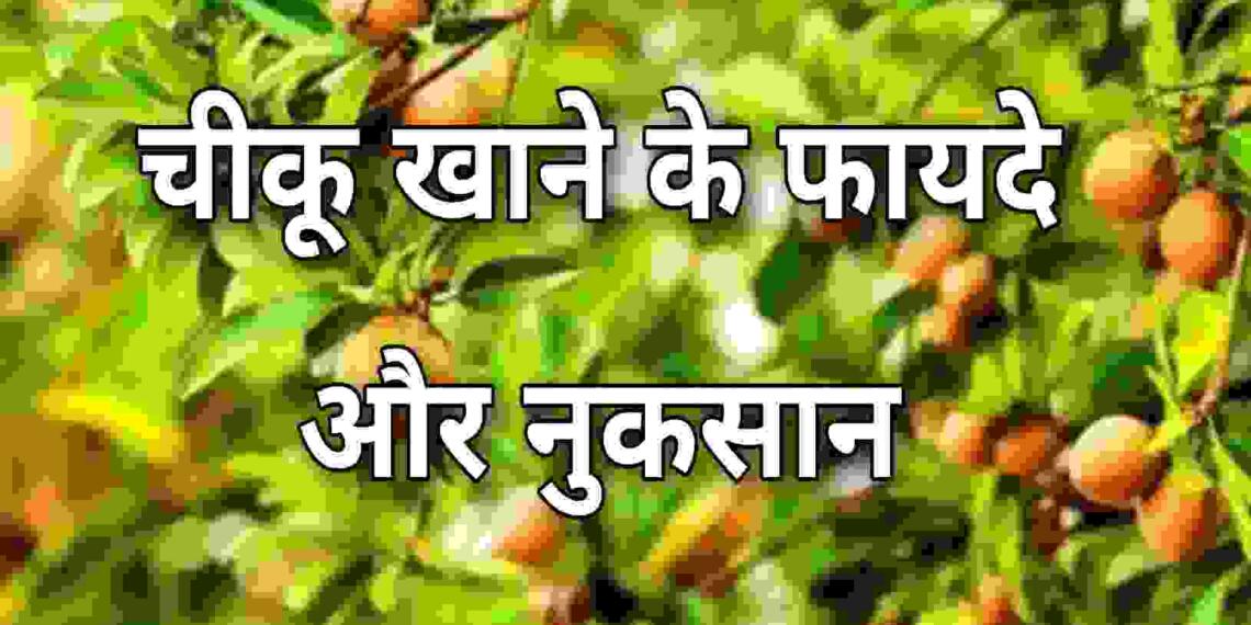 Chiku Khane Ke Fayde