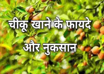 Chiku Khane Ke Fayde