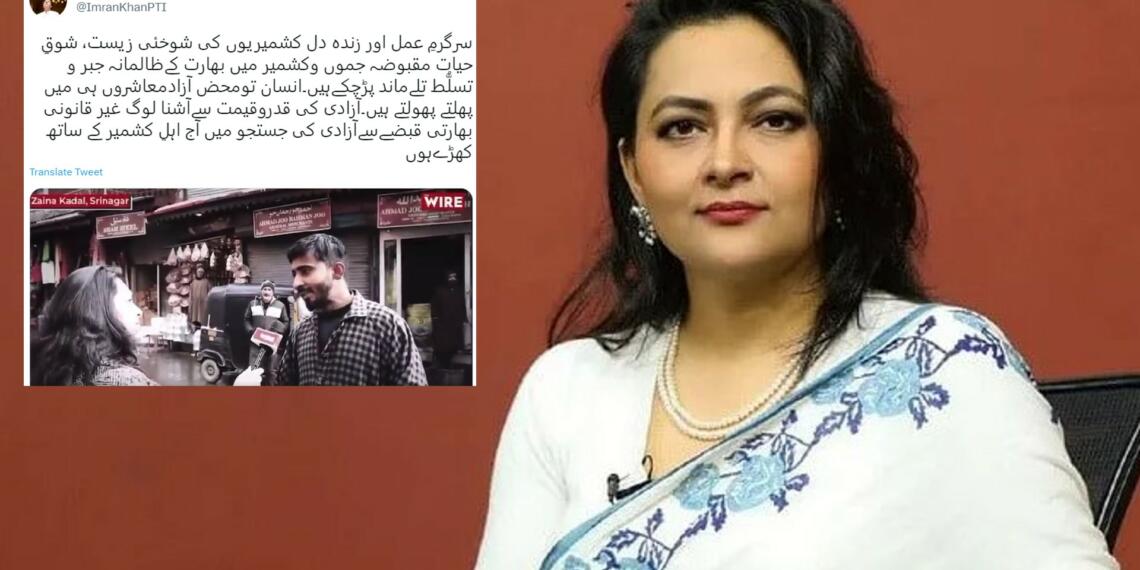 आरफ़ा खानम शेरवानी