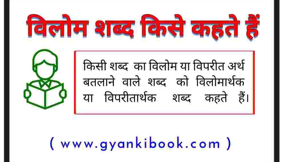 Vilom Shabd kise kahate HainExamples and Rules tfipost.in