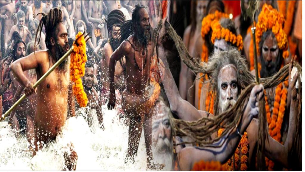 Aghoris and Naga Sadhus are not the same, both have different paths but have the same goal