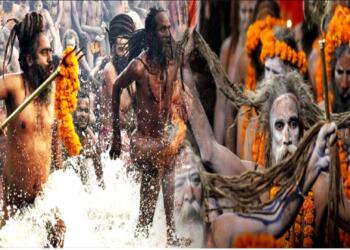 Aghoris and Naga Sadhus are not the same, both have different paths but have the same goal