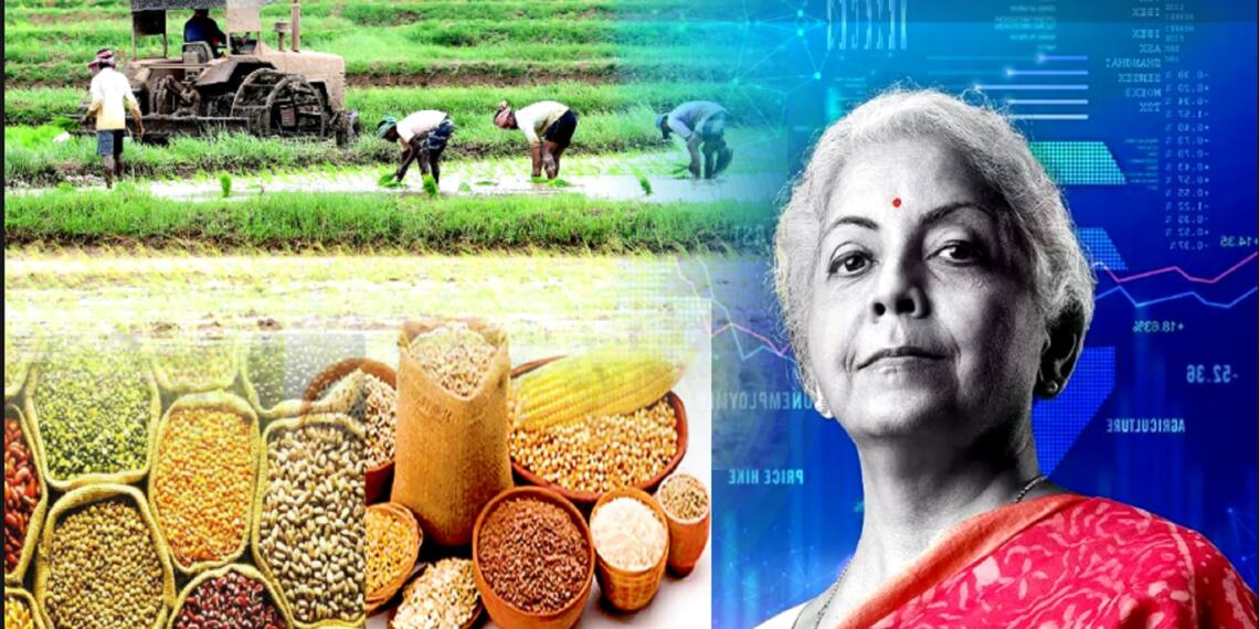 what-remained-for-the-farmers-in-this-budget