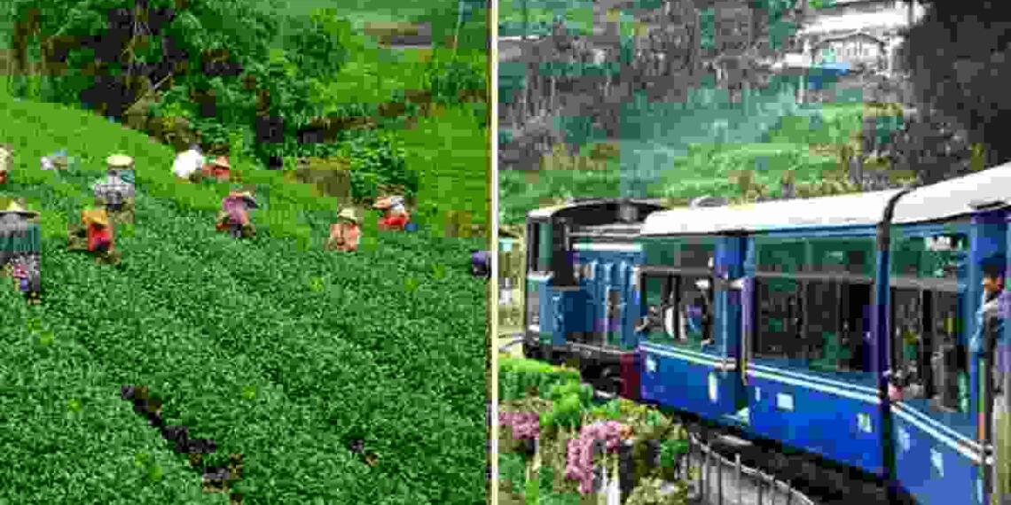 Darjeeling Kahan Hai