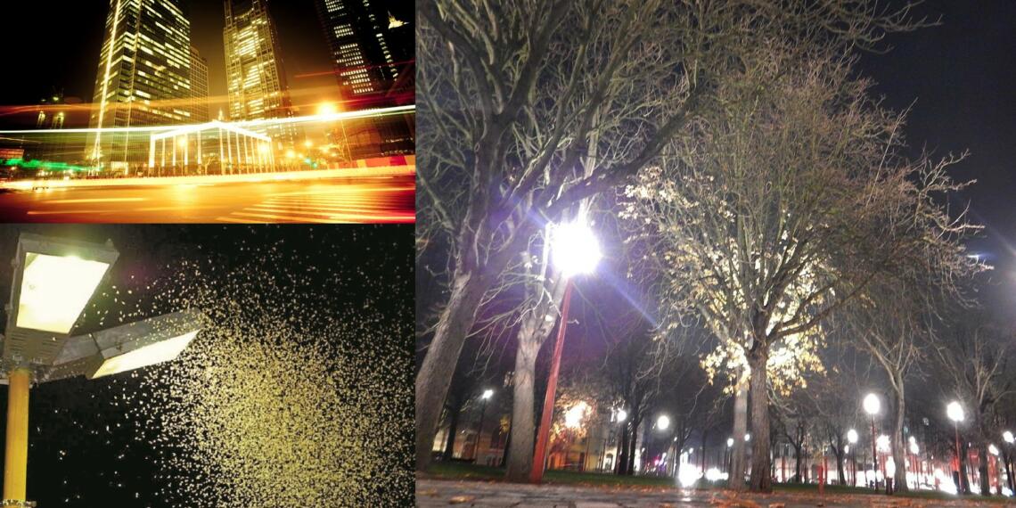 प्रकाश प्रदूषण