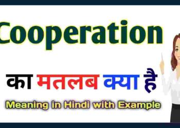 Cooperation Meaning in Hindi