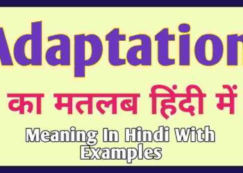Adaptation Meaning in Hindi