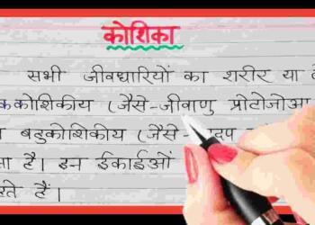 Koshika Kise Kahate Hain