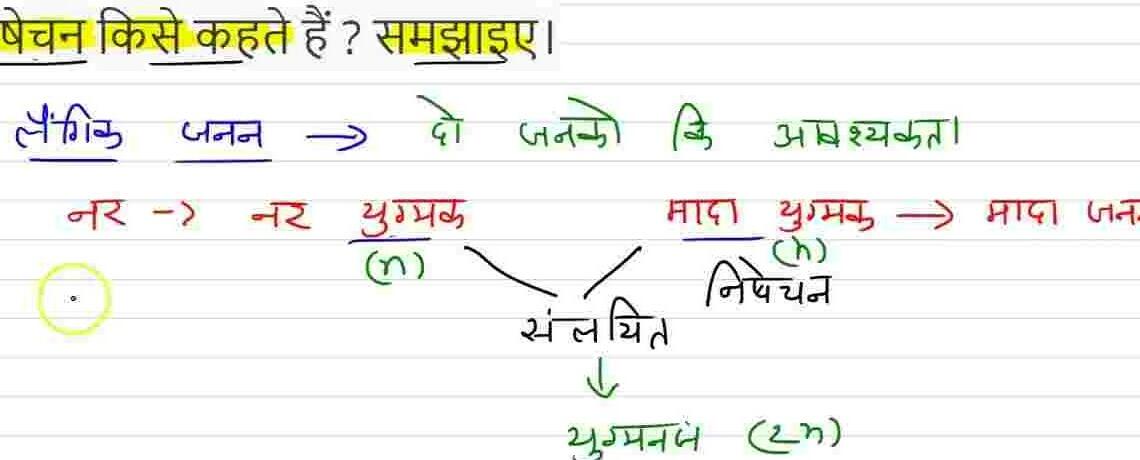Nishechan Kise Kahate Hain