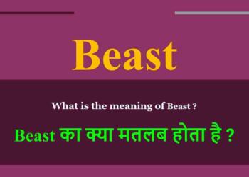 Beast Meaning in Hindi