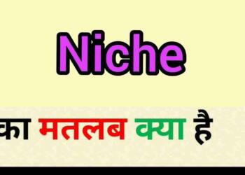 Niche Meaning in Hindi