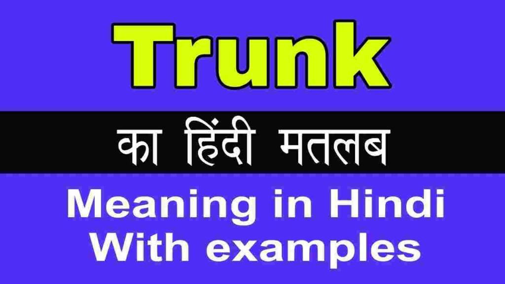 Trunk Meaning in Hindi