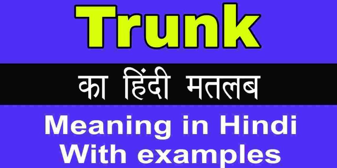 Trunk Meaning in Hindi