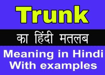Trunk Meaning in Hindi