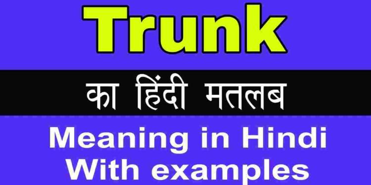 Trunk Meaning in Hindi: Synonym and 5 Example - tfipost.in