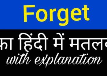 Forget Meaning in Hindi