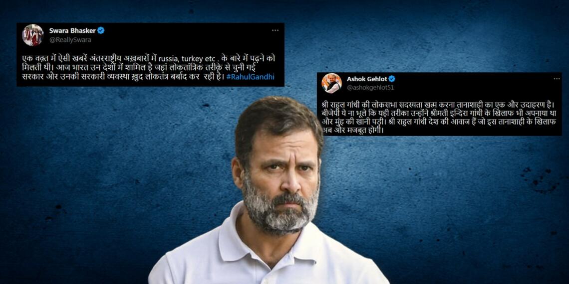 पुनः चालू हुआ राहुल गाँधी को बहाल करने  हेतु “लोकतंत्र खतरे में” अभियान