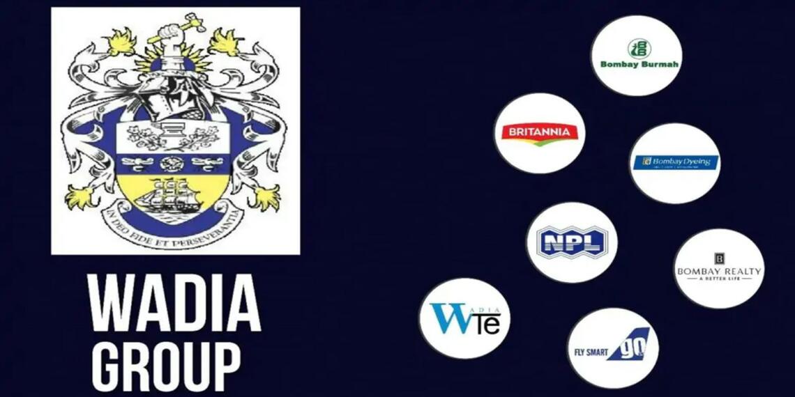 समुद्री दस्यु, दहेज, और वाडिया समूह की उत्पत्ति