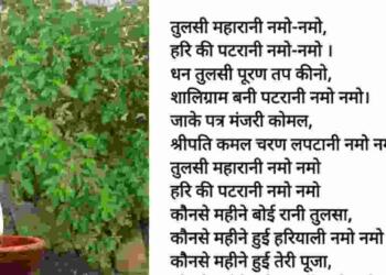 Tulsi Ji ki Aarti